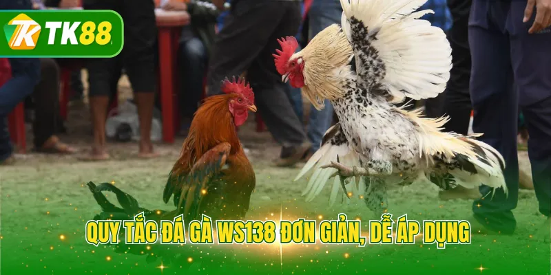 Quy tắc đá gà WS138 đơn giản, dễ áp dụng